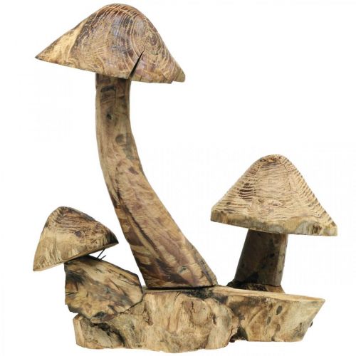 Floristik24 Paddenstoelengroep, paulowniahout, herfstdecoratie, houten sculptuur H33cm L30cm