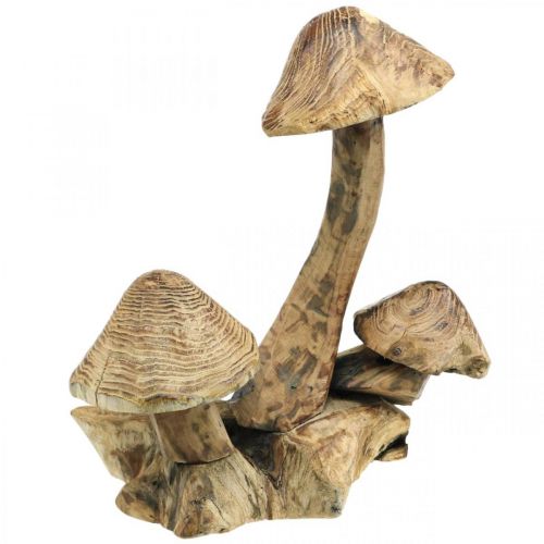 Floristik24 Paddenstoelengroep, paulowniahout, herfstdecoratie, houten sculptuur H33cm L30cm