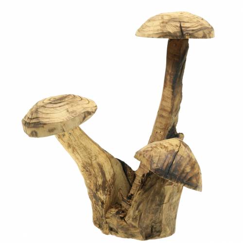 Floristik24 Paddestoelen pruimenhout H27cm