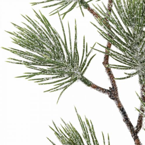 Floristik24 Kersttakken Dennentak Snowed 54cm 3st in bos