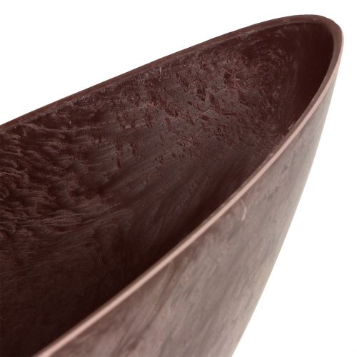 Floristik24 Plantenschaal Bordeaux 39cm x 12cm H13cm 1st