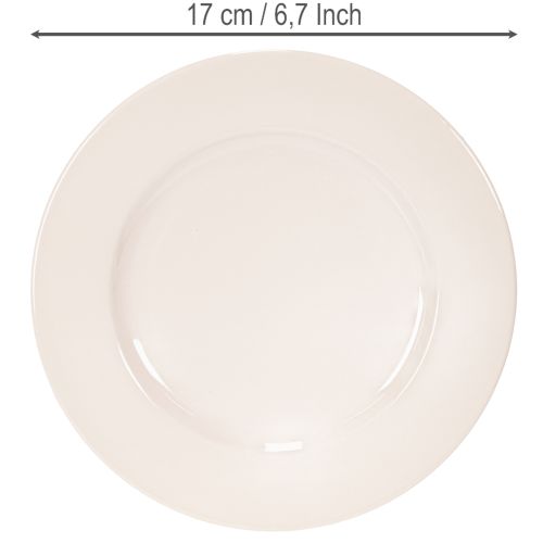 Ronde, eenvoudige bordjes voor decoratie en kleine arrangementen, 17 cm, 6 stuks | Floristik24.nl