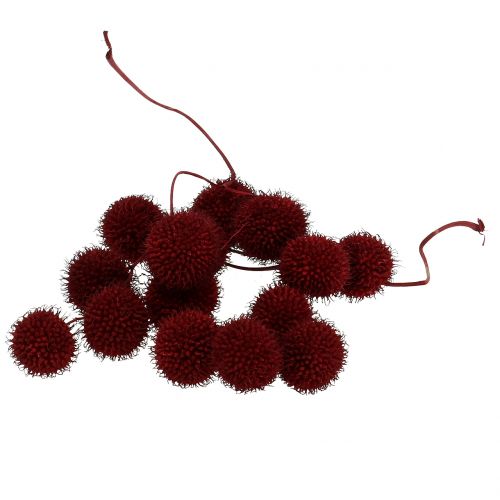 Floristik24 Plataanvruchten gedroogd donkerrood 250g