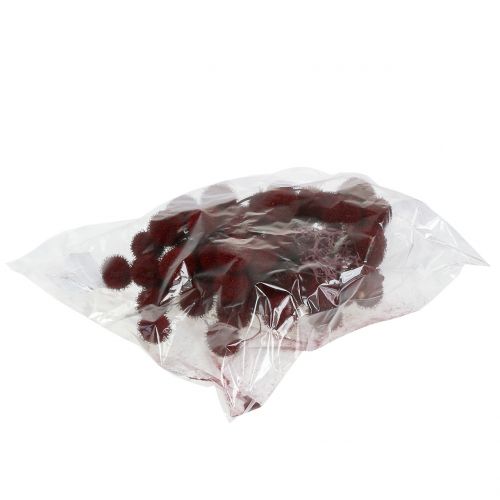 Floristik24 Plataanvruchten gedroogd donkerrood 250g