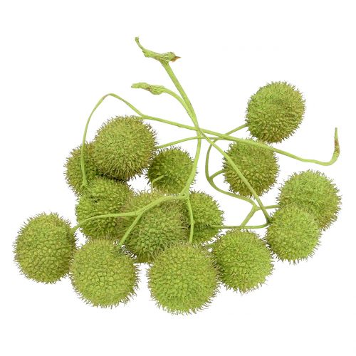 Floristik24 Vliegtuig fruit groen 200g