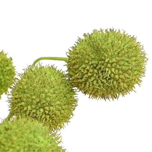 Floristik24 Vliegtuig fruit groen 200g