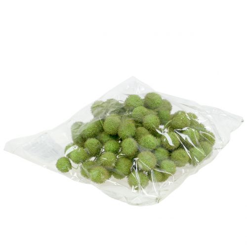 Floristik24 Vliegtuig fruit groen 200g