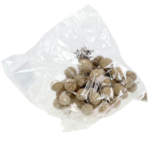 Floristik24 Vlak fruit gewassen wit 250g