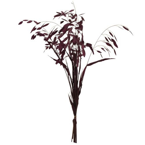 Artikel Platoorgras droog gras Chasmantium paars 70cm 10 stuks