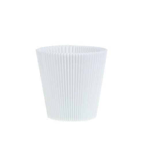 Floristik24 Geplooide manchetten wit 8,5cm 100 stuks