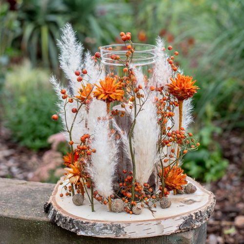 Artikel Plumosum 1 Oranje 25 st