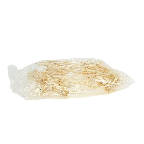 Artikel Plumosum 1 gebleekt 25 st