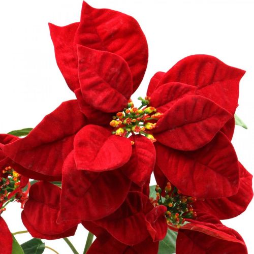 Floristik24 Kunst kerstster rode steel bloem 3 bloemen 85cm