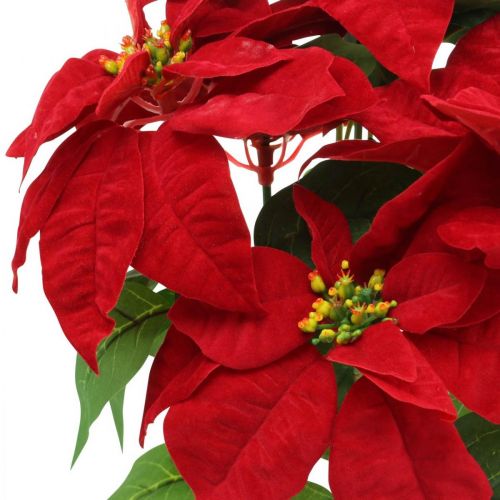 Floristik24 Kunstkerstster Rood Kunstbloemen in pot H53cm