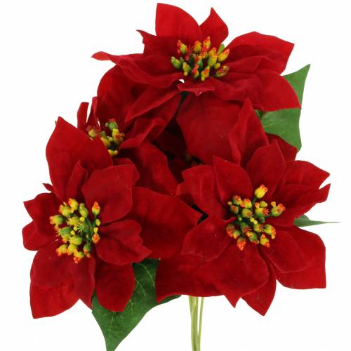 Floristik24 Poinsettiaboeket rood fluweel 35cm