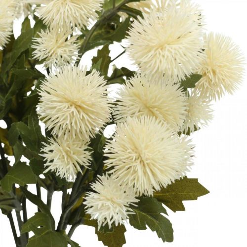 Floristik24 Pompomtak crème decotak herfst 55cm 4st