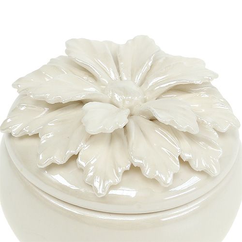 Floristik24 Porseleinen doos creme Ø7.5cm H6cm