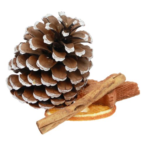 Potpourri Kerst sinaasappelschijfjes kegels kaneelhout 150g