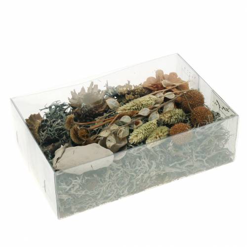 Floristik24 Herbstdeko Mix als knutselset Gedroogd Gebleekt 150g