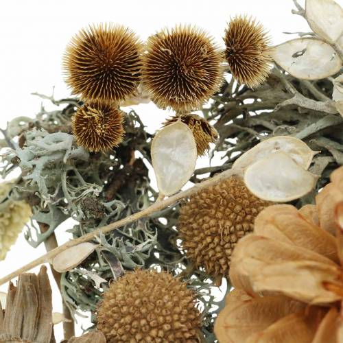 Floristik24 Herbstdeko Mix als knutselset Gedroogd Gebleekt 150g