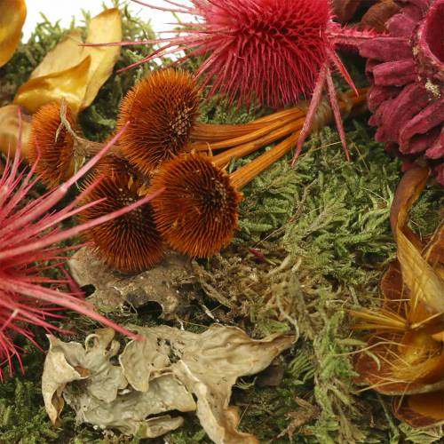 Artikel Droge bloemisterijmix met kegels en mosrood 150g herfstdecoratie