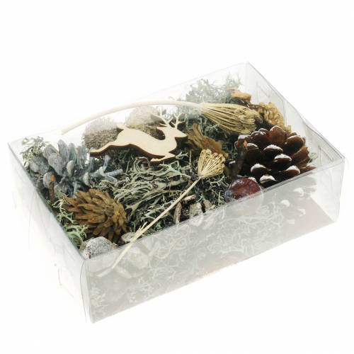 Floristik24 Droog bloemenhandwerkset adventskegels en mos wit gewassen 150g