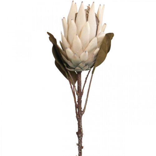 Protea Kunstmatig Verdorde Drylook Beige Bruin Groen 72cm