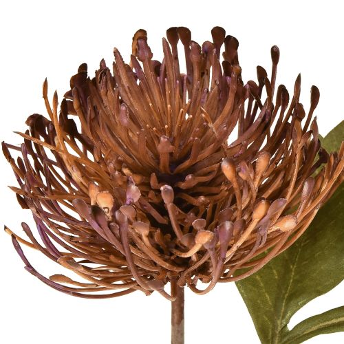 Artikel Protea kunstspeldenkussen Leucospermum paars 30cm 6 stuks