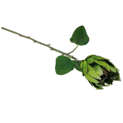 Artikel Protea Groen Rood Kunstbloem Kunsttak L65cm Ø5,5cm