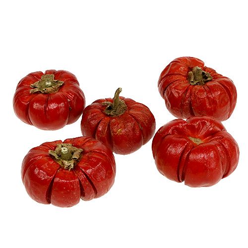 Floristik24 Pompoen Minis Gedroogd Fruit Rood 250g