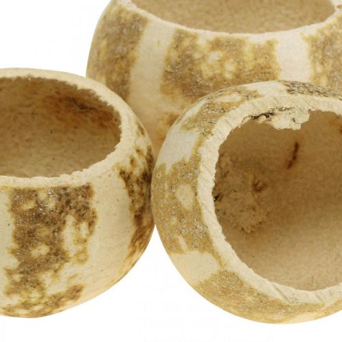 Artikel Pompoendecoratie Bell Cup Pompoen Cup gebleekt 50 st