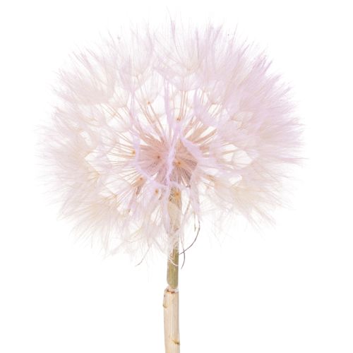 Kunstmatige paardenbloem, decoratieve bloem voor een modern interieur, woonaccessoire, 50 cm, 4 stuks