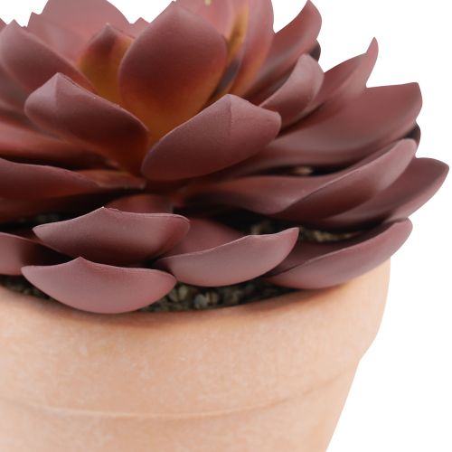 Artikel Vetplant in pot Echeveria kunst rood Ø15cm