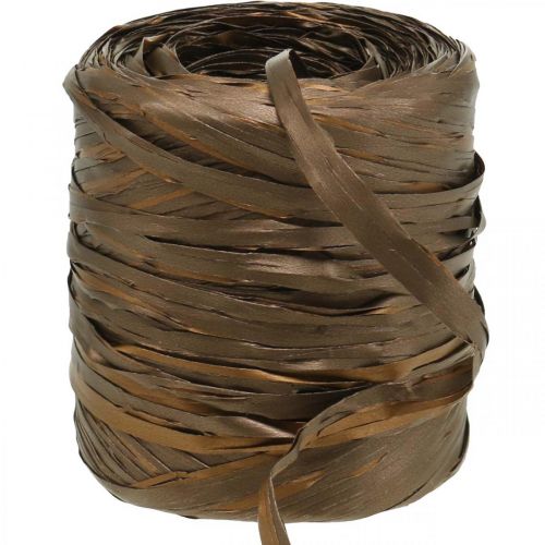 Floristik24 Raffia lint bruin bicolor cadeaulint deco lint 200m