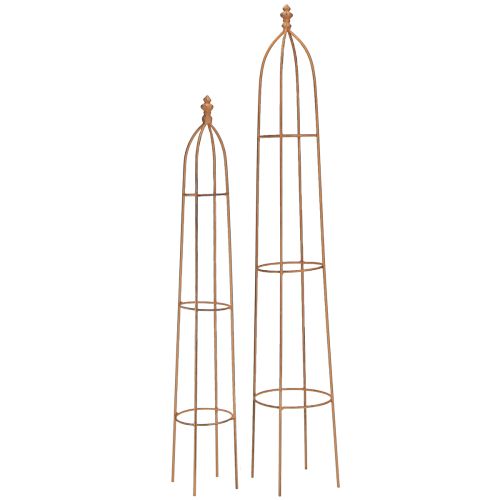 Floristik24 Trellis Metaal Roest Look Obelisk 69/86cm Set van 2