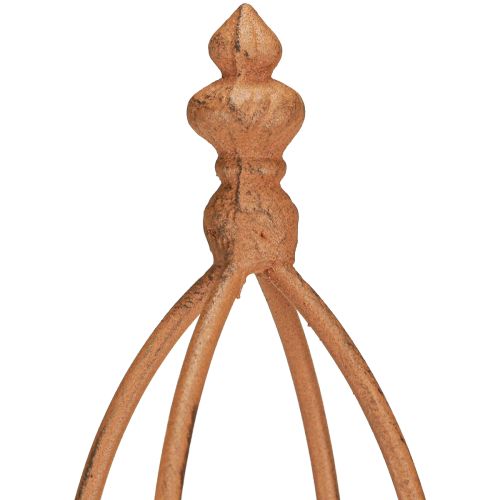 Floristik24 Trellis Metaal Roest Look Obelisk 69/86cm Set van 2
