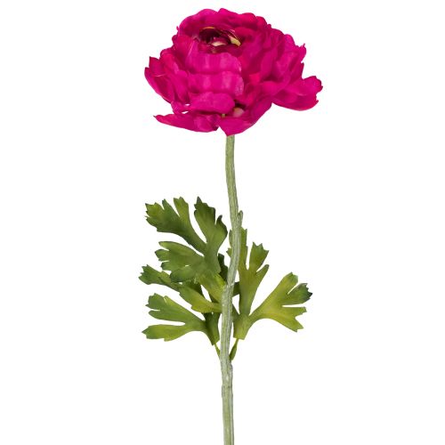 Kunstmatige ranunculus als enkele bloem voor een tijdloze en veelzijdige interieurstijl, 51 cm, 3 stuks