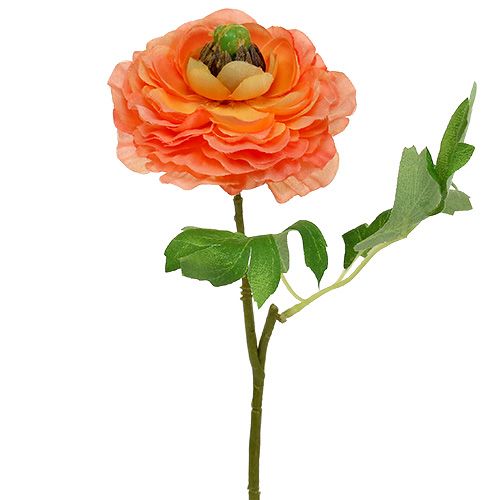 Floristik24 Ranonkel oranje 27cm 8st