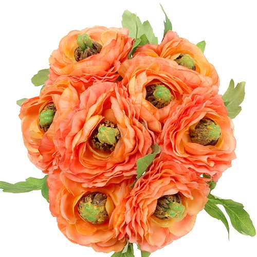 Floristik24 Ranonkel oranje 27cm 8st