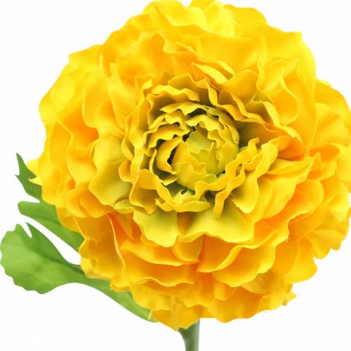 Floristik24 Ranunculus Geel H45cm