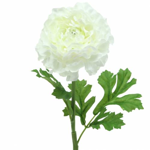 Ranunculus Wit H45cm