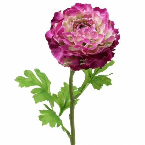 Floristik24 Ranunculus violet kunstmatig 48cm