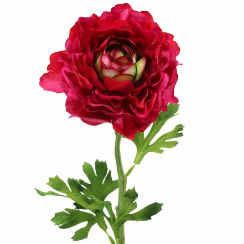 Floristik24 Ranunculus donker roze kunstmatig 51cm