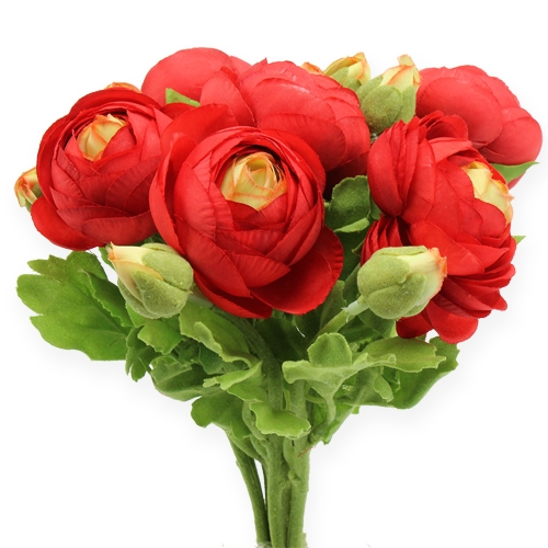 Floristik24 Ranunculus boeket rood 30cm