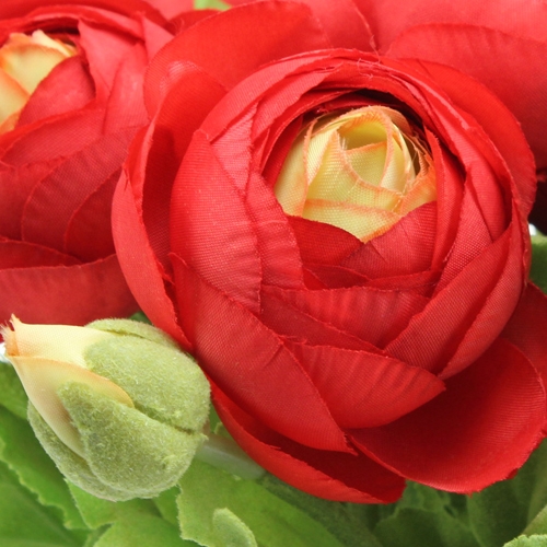 Floristik24 Ranunculus boeket rood 30cm