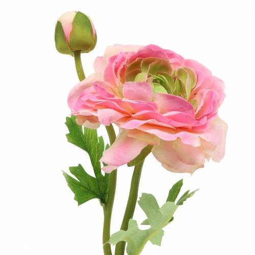 Floristik24 Ranunculus bloem en knop kunstroze 34cm