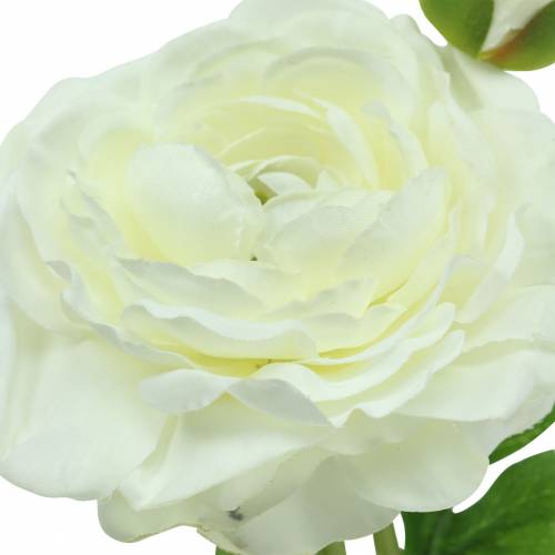 Floristik24 Kunstbloem ranunculus met bloesem en knop Wit H34cm