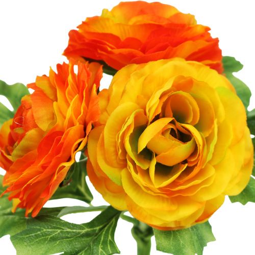 Floristik24 Ranunculus boeket oranje L18cm