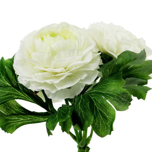 Floristik24 Ranonkel boeket wit L18cm