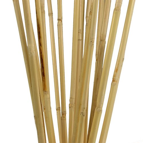 Floristik24 Rotanstelen 100cm naturel 20 st